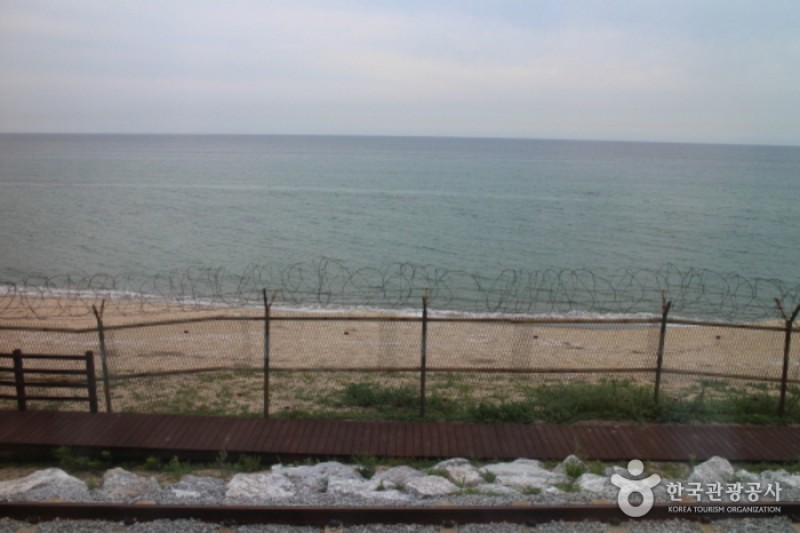 Sea Train  (2/3)