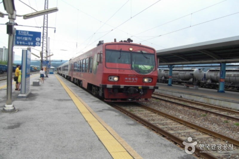 Sea Train  (3/3)