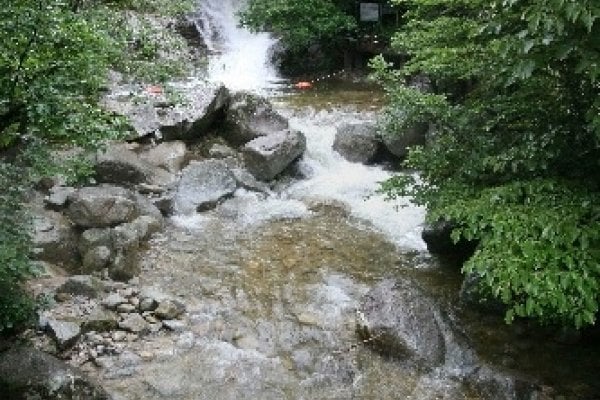 Daegwallyeong Recreational Forest