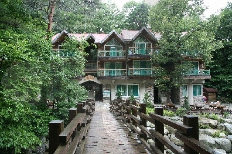 Daegwallyeong Recreational Forest  (1/21)
