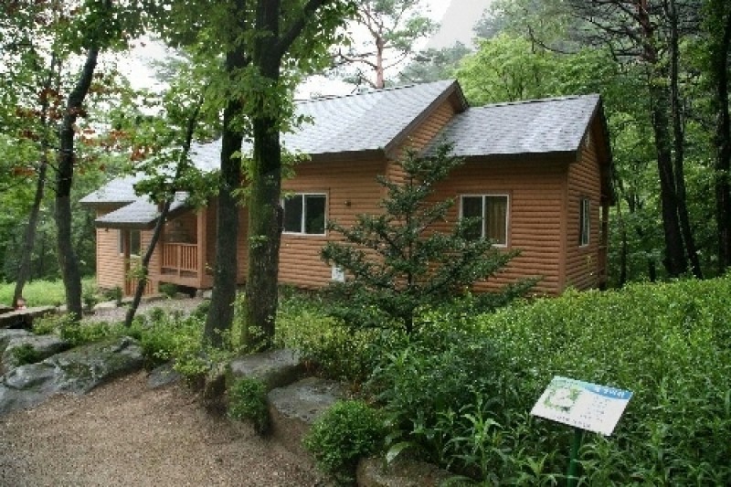 Daegwallyeong Recreational Forest  (2/21)