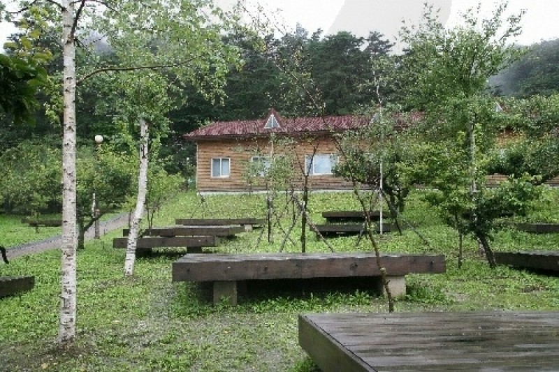 Daegwallyeong Recreational Forest  (9/21)