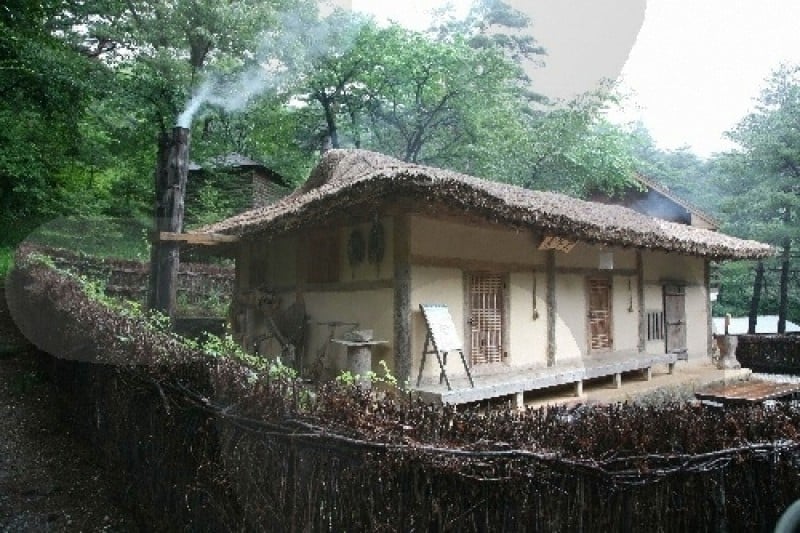 Daegwallyeong Recreational Forest  (10/21)