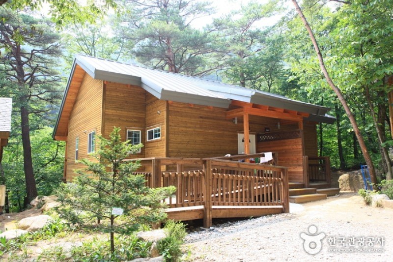 Daegwallyeong Recreational Forest  (13/21)
