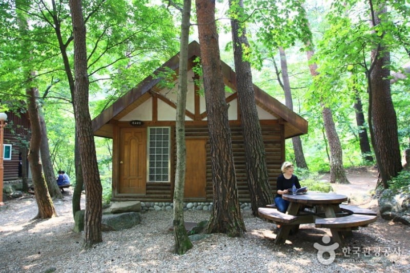 Daegwallyeong Recreational Forest  (15/21)
