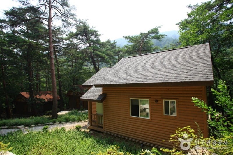 Daegwallyeong Recreational Forest  (16/21)
