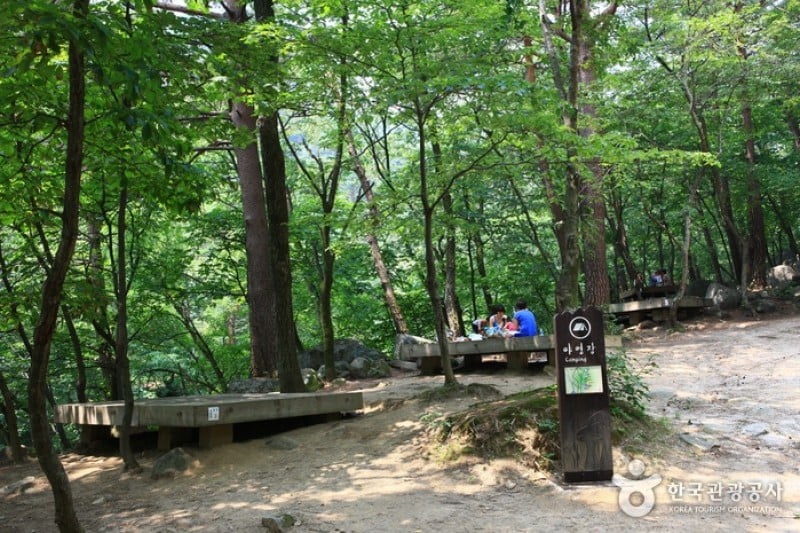 Daegwallyeong Recreational Forest  (17/21)