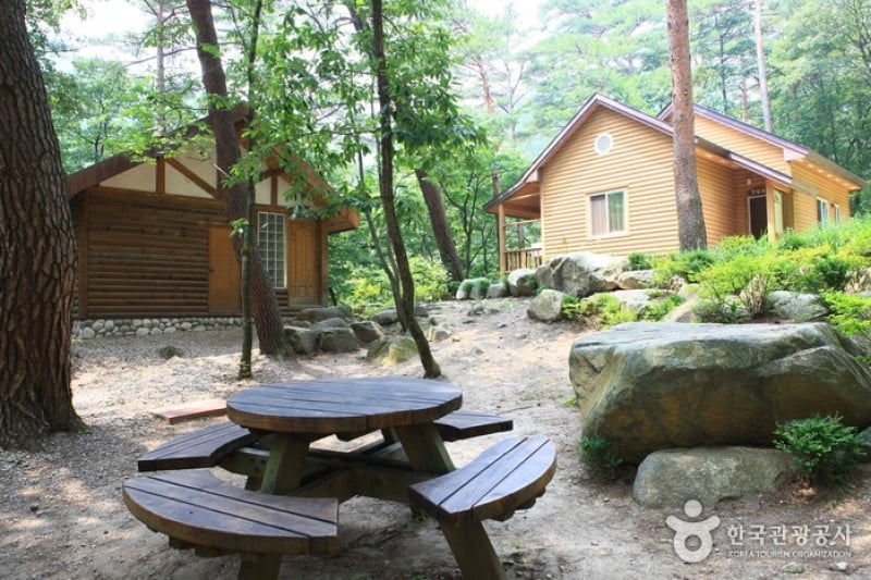 Daegwallyeong Recreational Forest  (18/21)