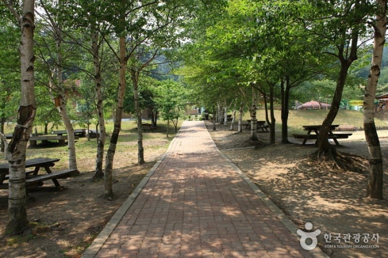 Daegwallyeong Recreational Forest  (19/21)