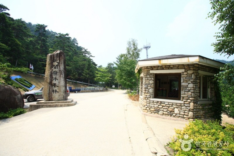 Daegwallyeong Recreational Forest  (20/21)