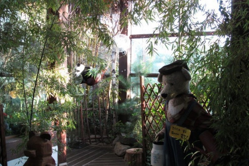 Teddy Bear Farm  (14/30)