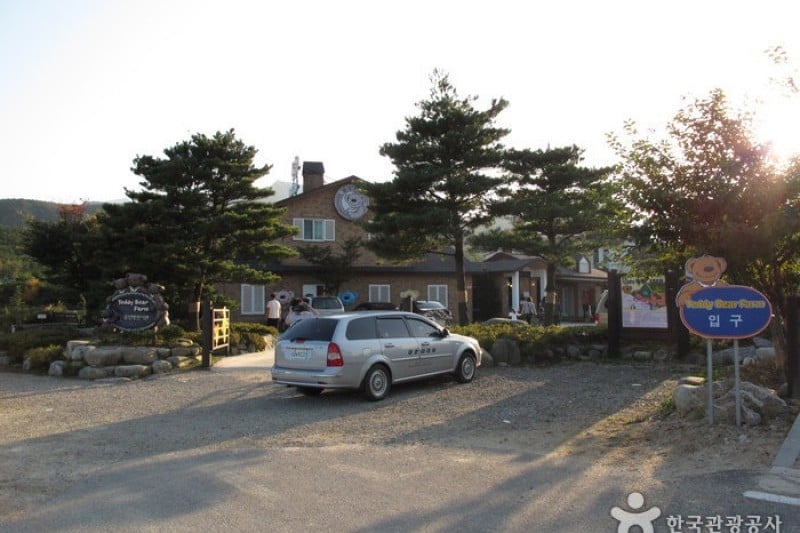 Teddy Bear Farm  (20/30)