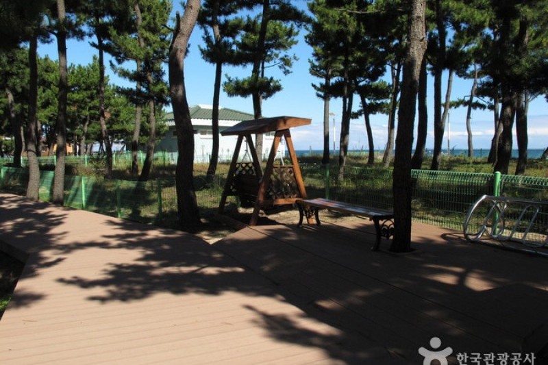 Naksan Beach  (7/24)