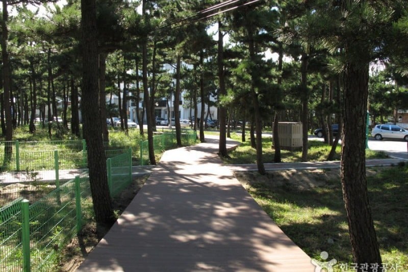 Naksan Beach  (8/24)