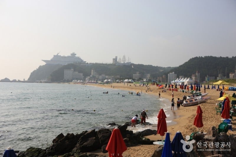 Jeongdongjin Beach  (3/7)