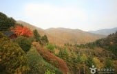 Odaesan National Park 