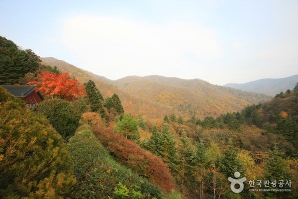 Odaesan National Park