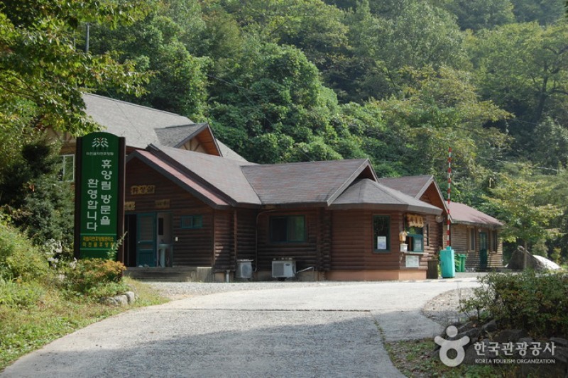 Micheongol Natural Recreation Forest  (1/12)