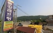 Donggang River Rafting  (Yeongwol) 