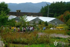 Korea Botanic Garden 