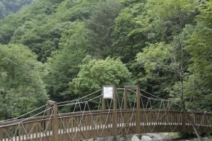 Jipdarigol Recreation Forest 