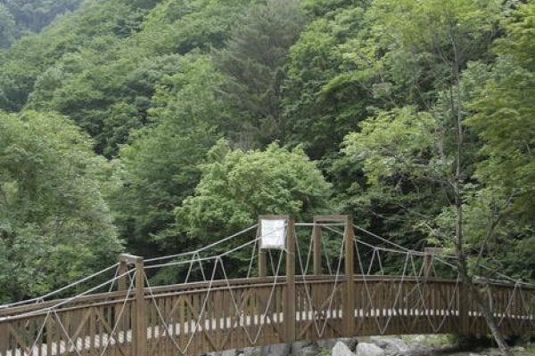 Jipdarigol Recreation Forest