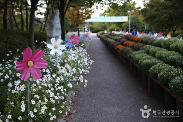 Gangwon-do Provincial Flower Garden