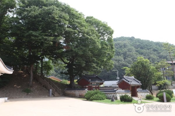 Jangneung Royal Tomb [UNESCO World Heritage]