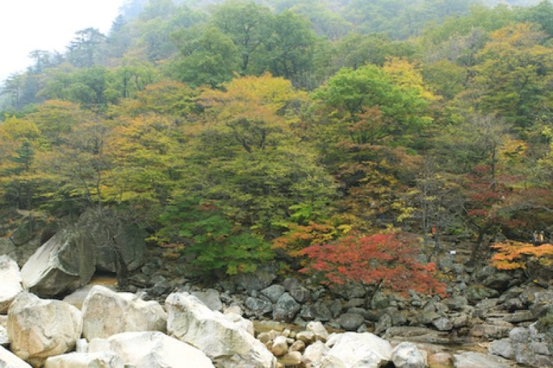 Biseondae Rocks  (1/7)