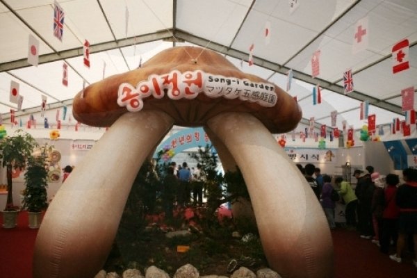 Yangyang Songi Festival