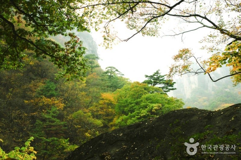 Osaek Jujeongol  (1/31)