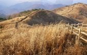 Mindungsan Mountain - Gangwon 