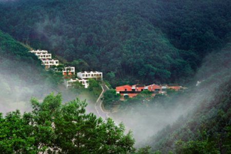Healience Zen Village 