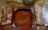 Bangdong Mineral Spring 