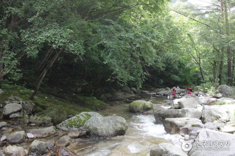 Bangtaesan Mountain  (1/2)