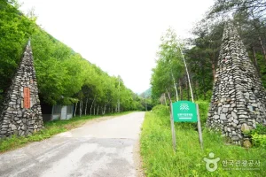 Sambong Recreational Forest 