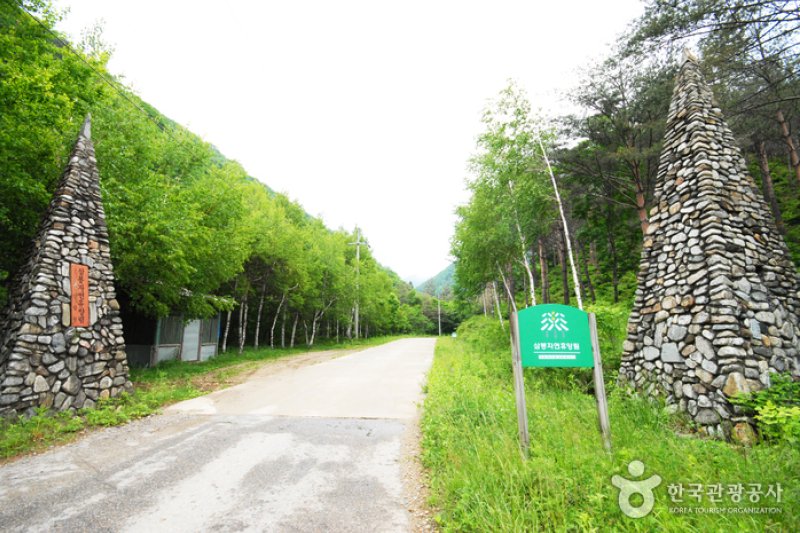 Sambong Recreational Forest  (1/11)