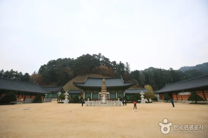 Woljeongsa Temple Stay  (1/2)