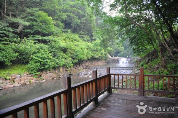 Baegunsan Recreational Forest