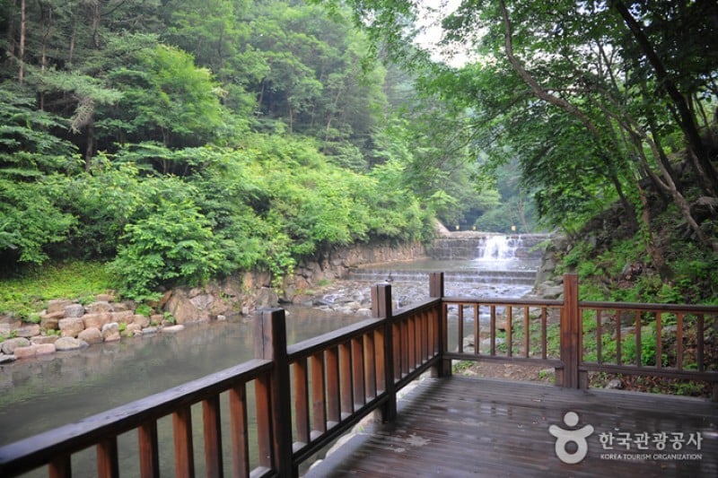Baegunsan Recreational Forest  (1/3)