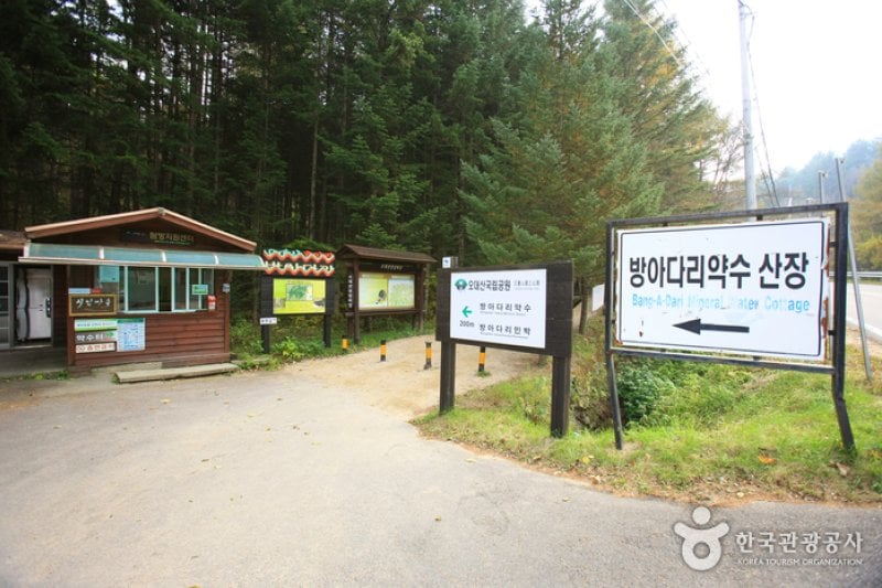 Bangadari Mineral Spring  (1/18)