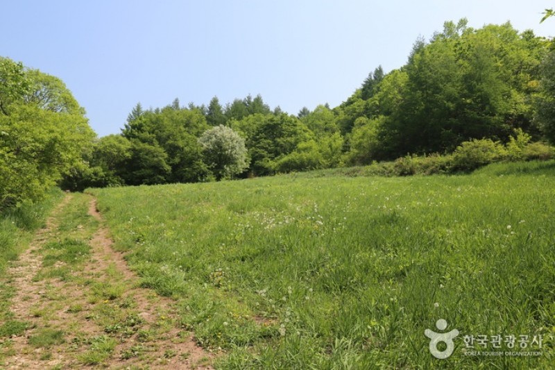 Taebaek Guwau Village  (1/5)