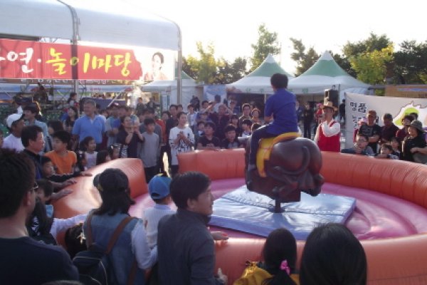 Hongcheon Ginseng Hanu Myeongpum Festival