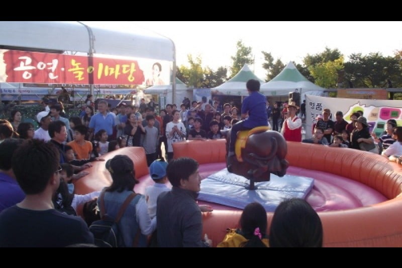 Hongcheon Ginseng Hanu Myeongpum Festival  (1/7)