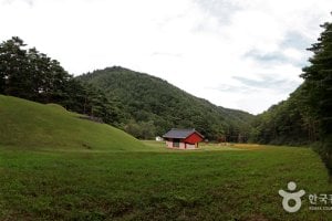 Samcheok Jungyeongmyo Grave (삼척 준경묘)