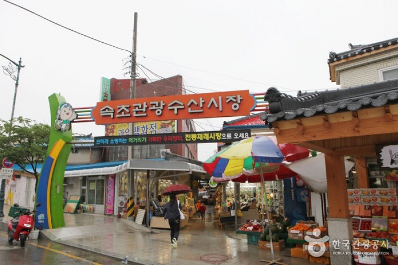 Sokcho Tourist &amp; Fishery Market  (1/17)