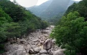 Dutasan Mountain (두타산)