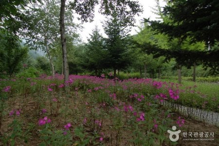 Garisan Natural Recreation Forest (가리산자연휴양림)