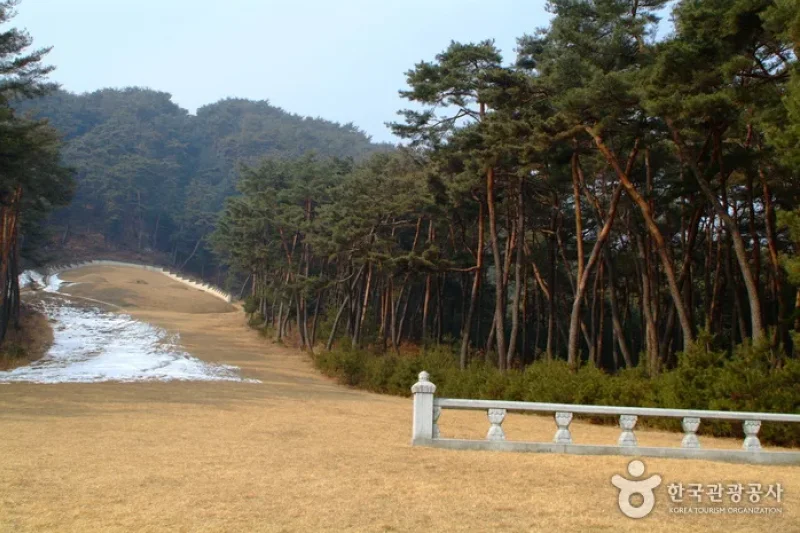 Graveyard of Sinjangjeolgong  (1/8)