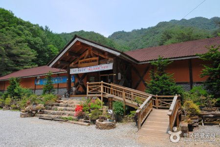 Chosun Minhwa Museum 